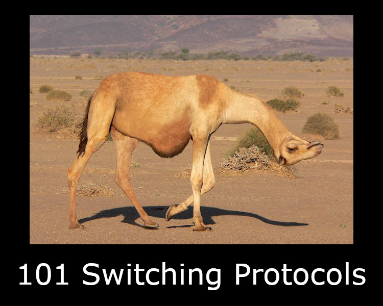101 Switching Protocols