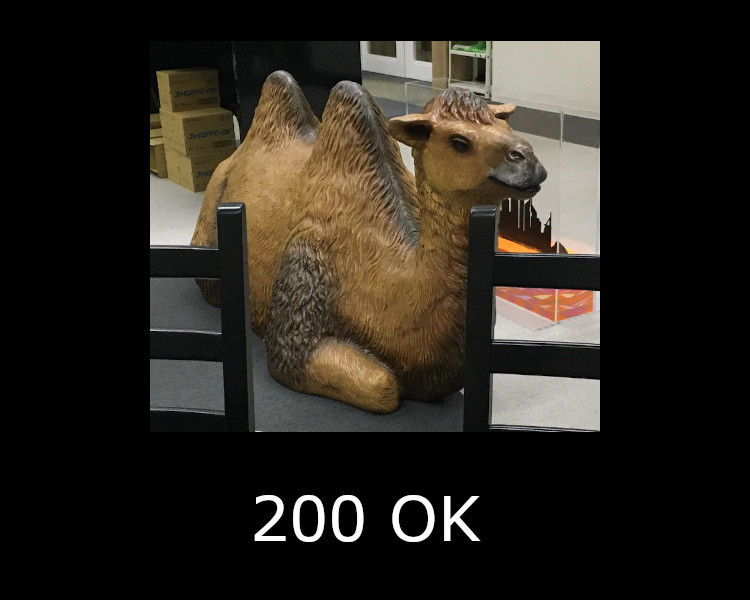 200 OK