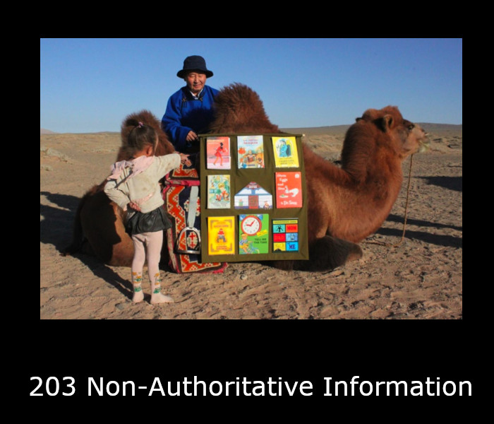 203 Non-Authoritative Information