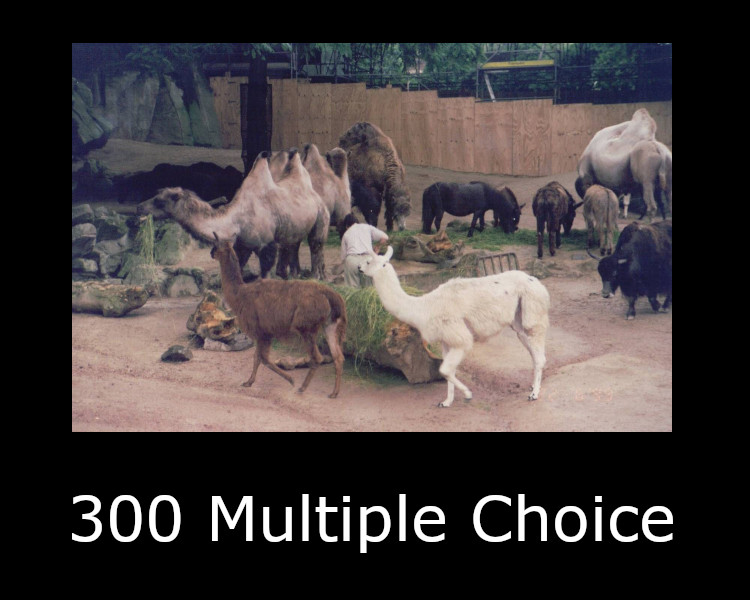 300 Multiple Choice