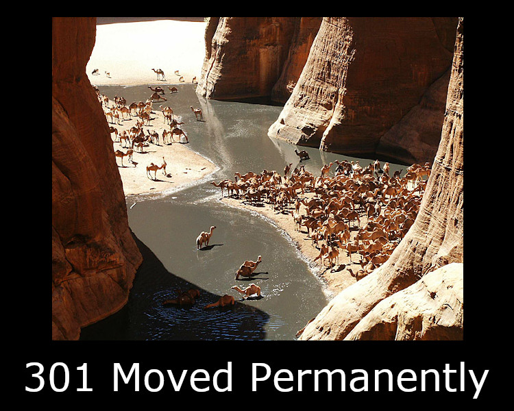 301 Moved Permanently