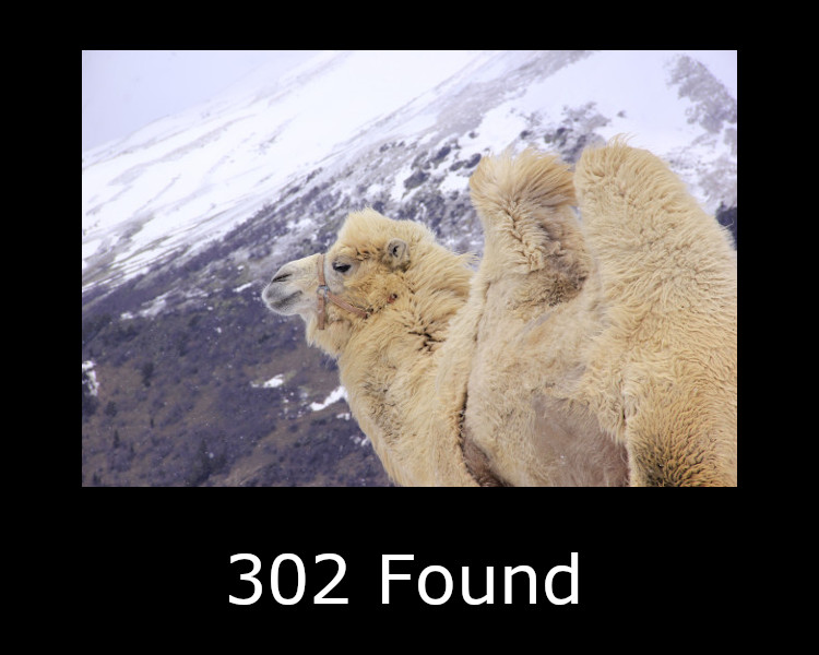 302 Found
