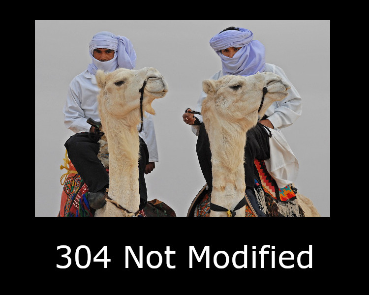 304 Not Modified