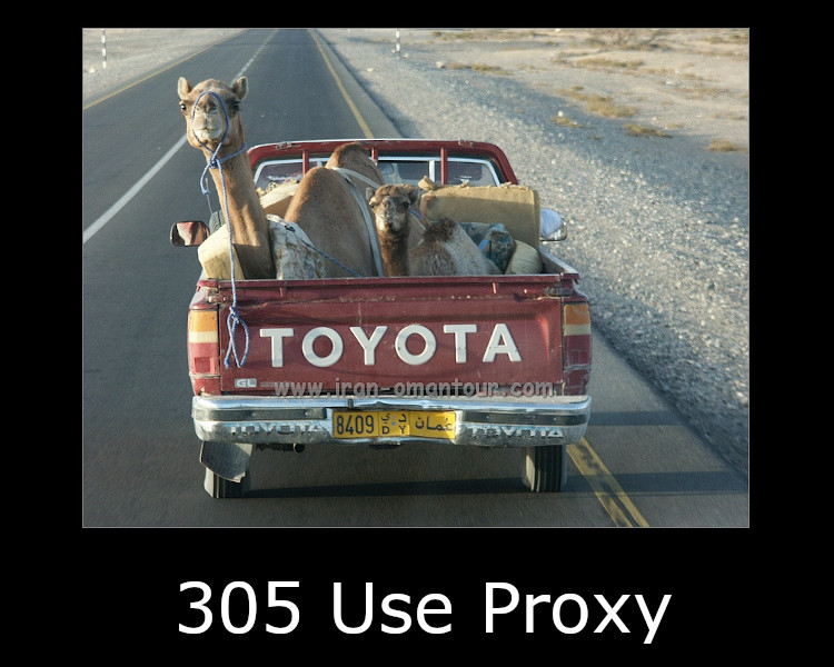 305 Use Proxy
