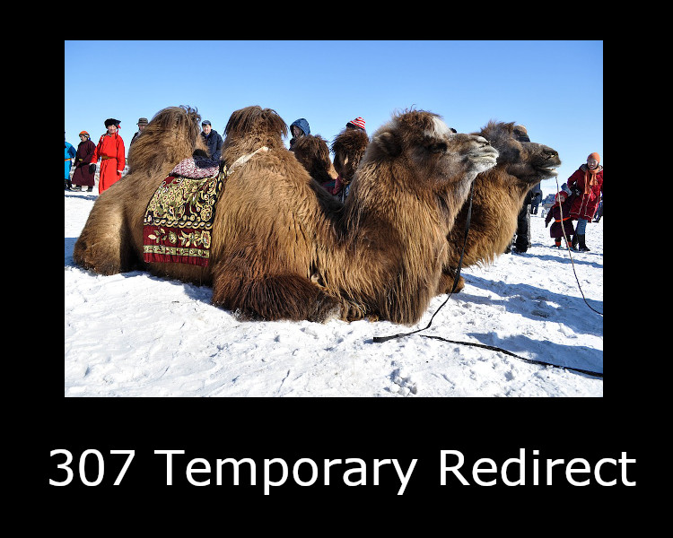 307 Temporary Redirect
