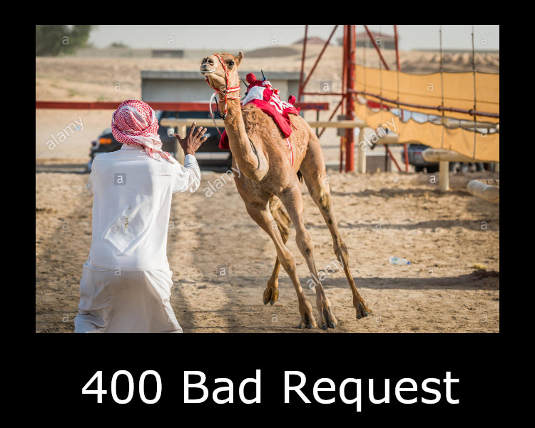 400 Bad Request