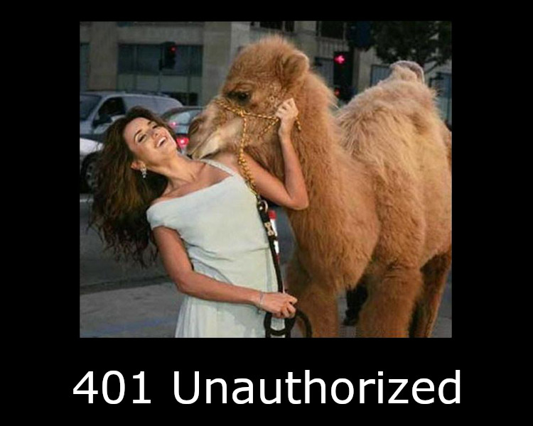 401 Unauthorized