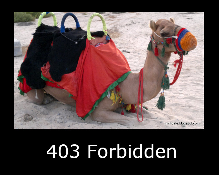 403 Forbidden