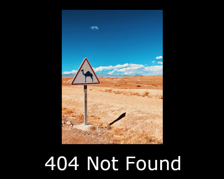 404 Not Found