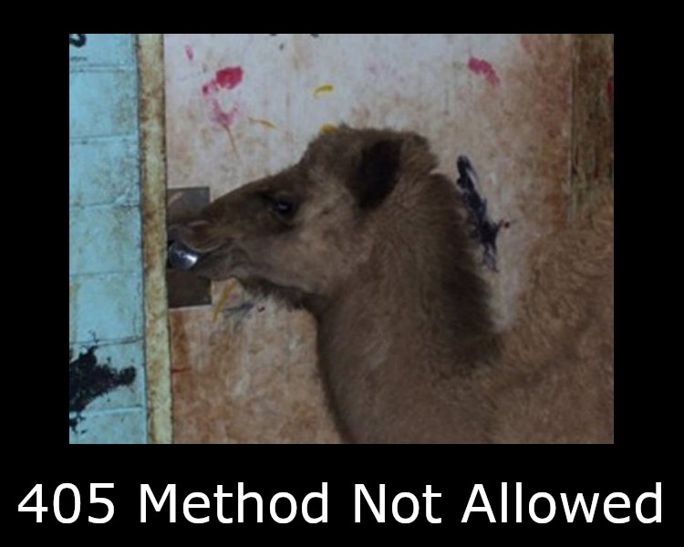 405 Method Not Allowed