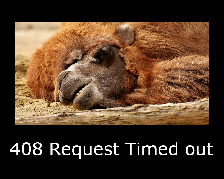 408 Request Timeout
