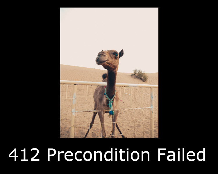 412 Precondition Failed
