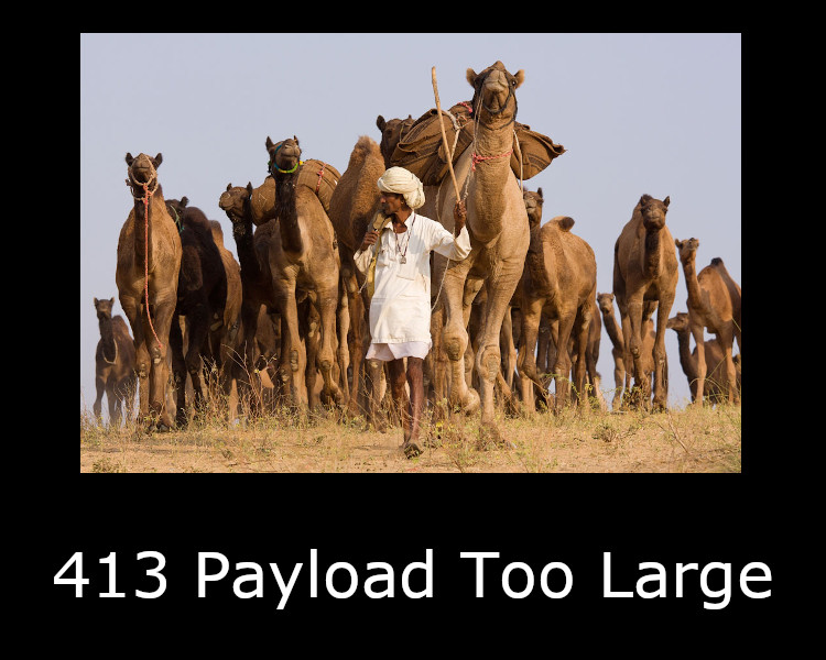 413 Payload Too Large