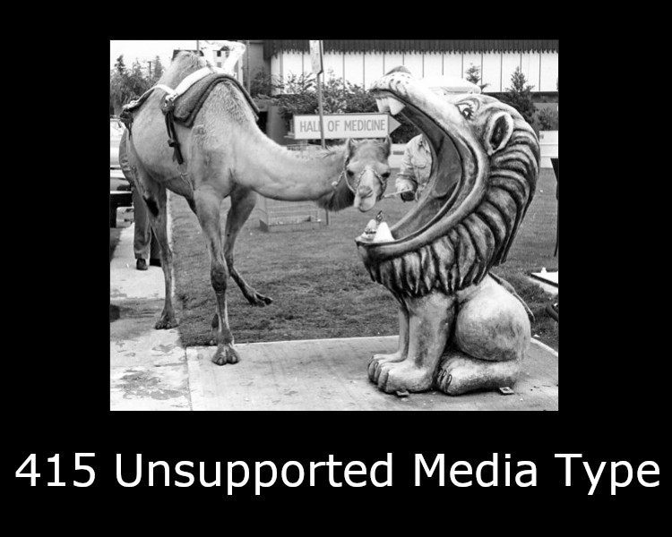 415 Unsupported Media Type