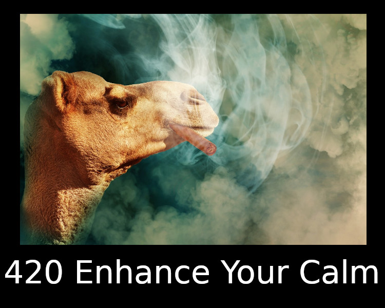 420 Enhance Your Calm