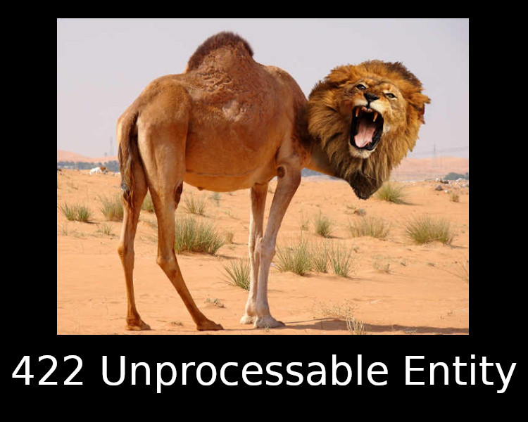 422 Unprocessable Entity