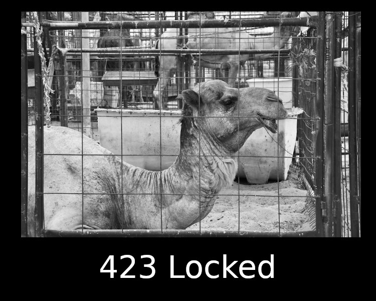423 Locked