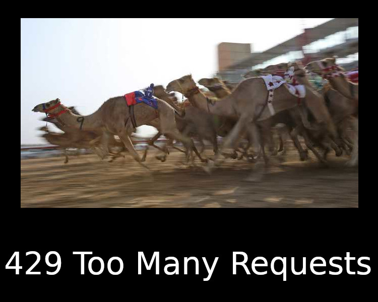 429 Too Many Requests