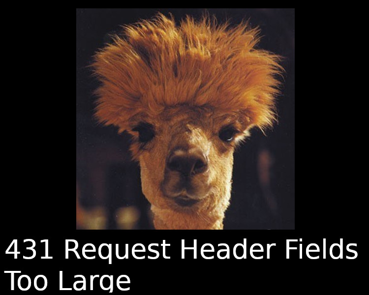 431 Request Header Fields Too Large