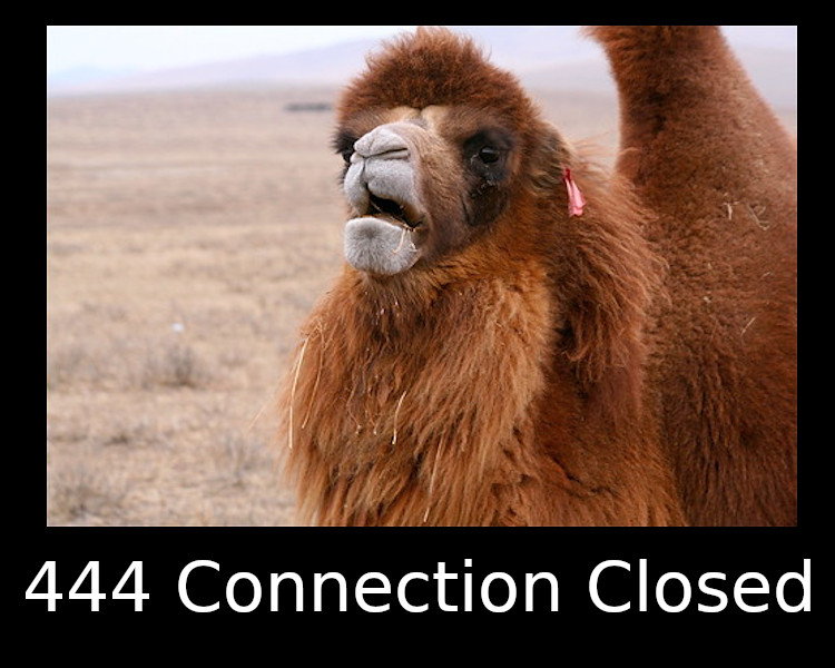 444 Connection Closed