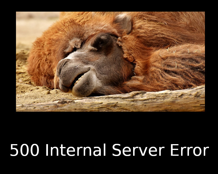 500 Internal Server Error