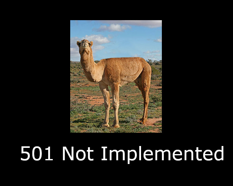 501 Not Implemented