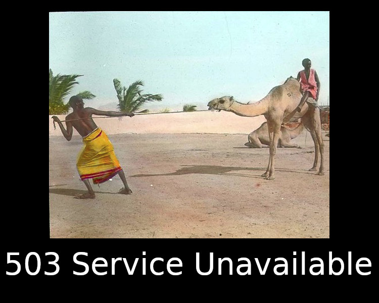 503 Service Unavailable