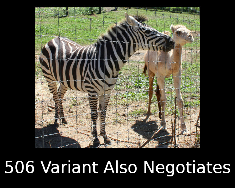 506 Variant Also Negotiates
