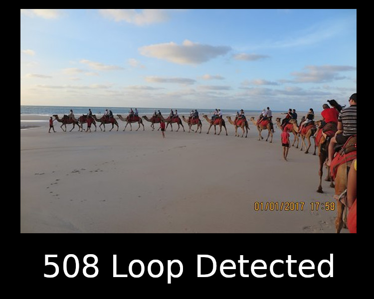 508 Loop Detected