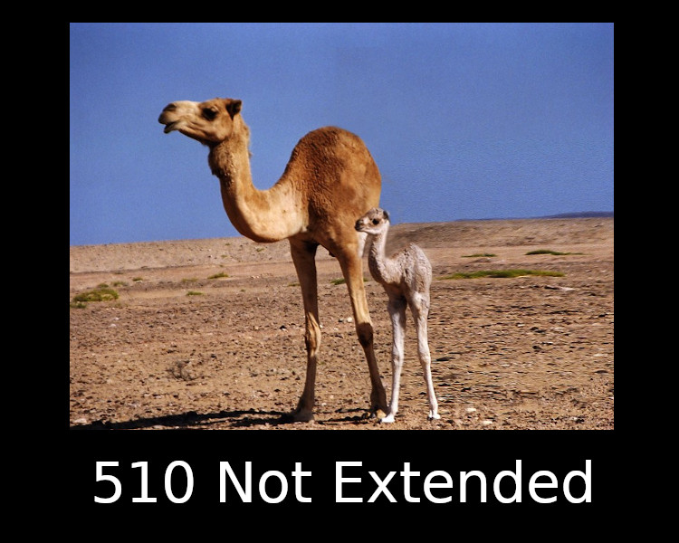 510 Not Extended