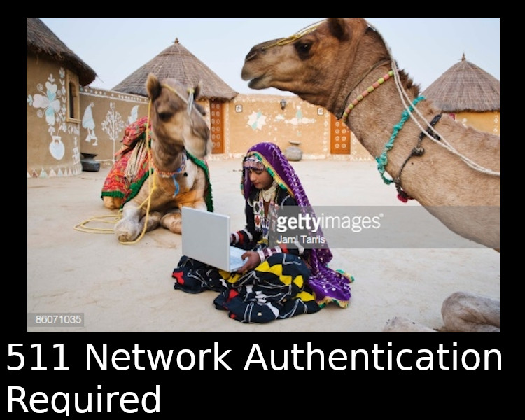 511 Network Authentication Request