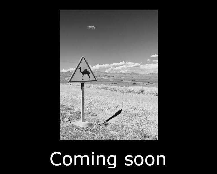 599 Network Connect Timeout Error